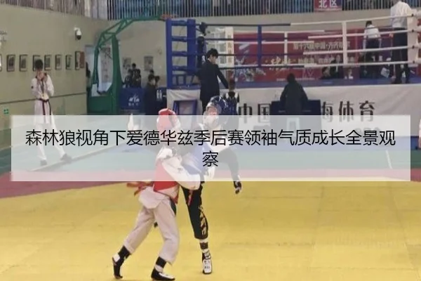 森林狼视角下爱德华兹季后赛领袖气质成长全景观察