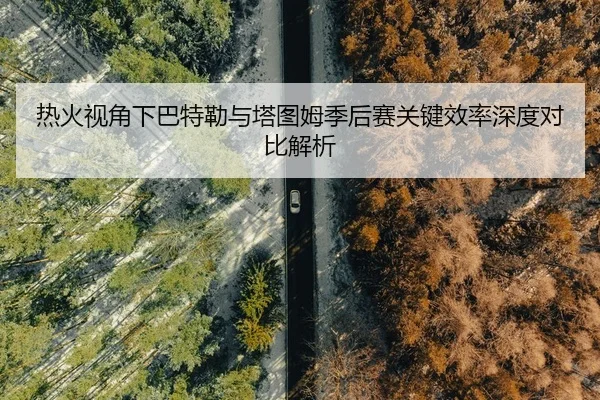 热火视角下巴特勒与塔图姆季后赛关键效率深度对比解析