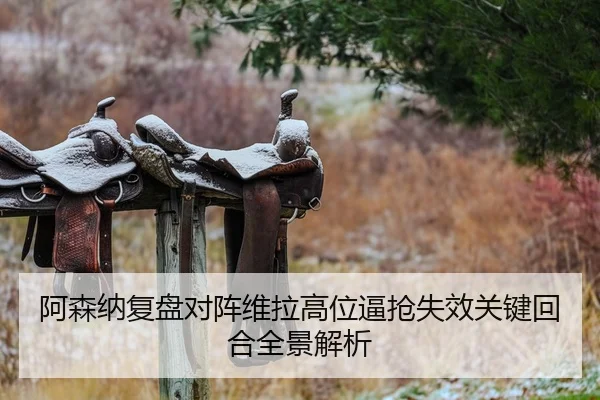 阿森纳复盘对阵维拉高位逼抢失效关键回合全景解析